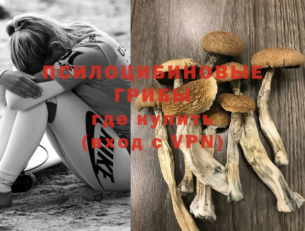 Альфа ПВП Абдулино