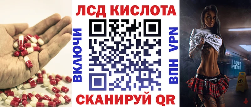 где найти наркотики блэк спрут Лсд 25 экстази ecstasy Болотное